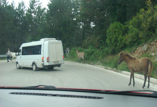 Si duhet të veproni në këtë situatë?