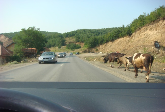 Si duhet të veproni në këtë situatë?